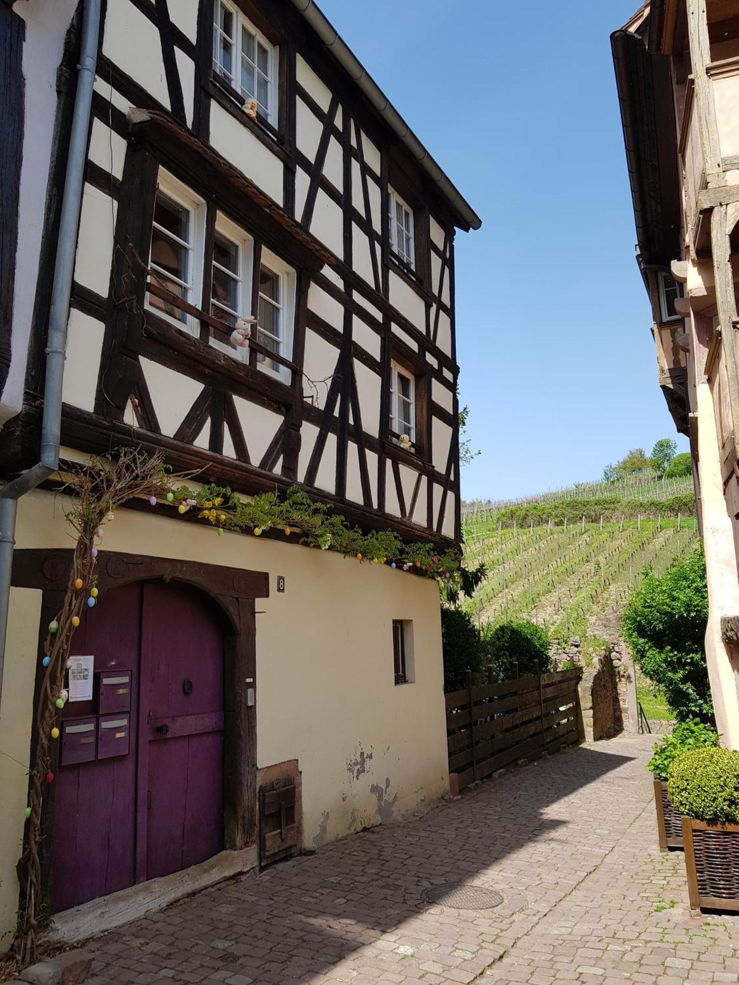La Maison Vigneronne * Riquewihr